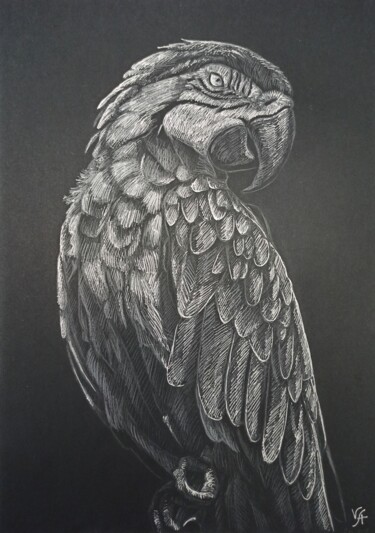 Dessin intitulée "ARA BIRD - small dr…" par Alona Vakhmistrova, Œuvre d'art originale, Crayon