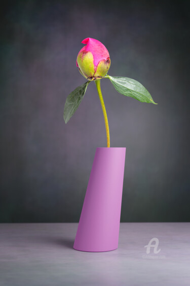 Fotografie getiteld "peony flower in the…" door Val Thoermer, Origineel Kunstwerk, Digitale fotografie