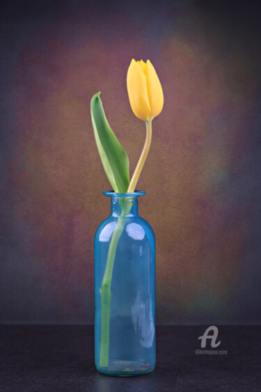 Photographie intitulée "tulip flower" par Val Thoermer, Œuvre d'art originale, Photographie numérique