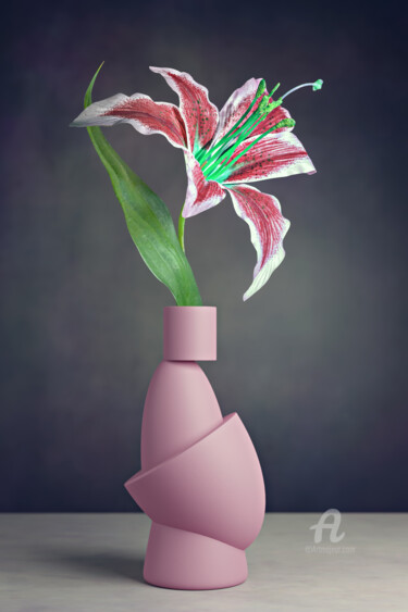 Digital Arts titled "still life of a lil…" by Val Thoermer, Original Artwork, Photo Montage