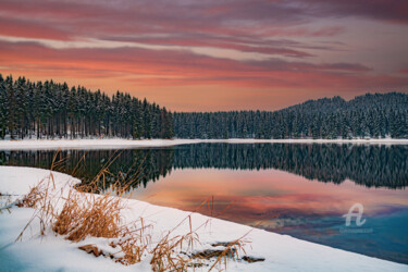 Fotografia intitulada "Forest lake" por Val Thoermer, Obras de arte originais, Fotografia digital