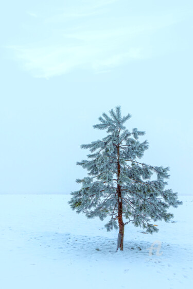 Фотография под названием "Wintry landscape" - Val Thoermer, Подлинное произведение искусства, Цифровая фотография