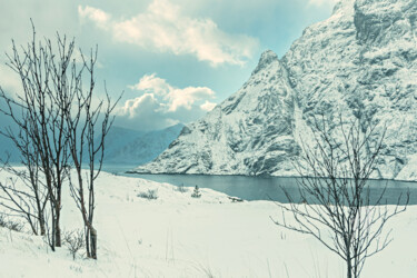 Фотография под названием "Lofoten Islands 372" - Val Thoermer, Подлинное произведение искусства, Цифровая фотография