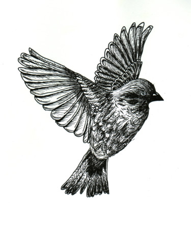 Drawing titled "Oiseau" by Valentine Fasquel, Original Artwork