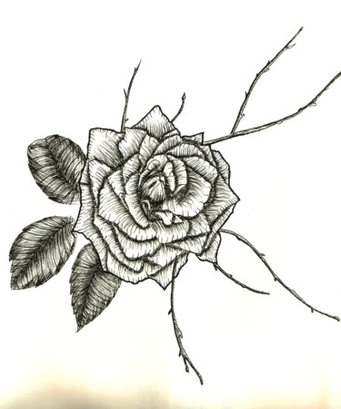 Dessin intitulée "Rose" par Valentine Fasquel, Œuvre d'art originale