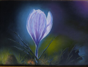 Painting titled "Flower in the light" by Valentina Lazdina, Original Artwork, Oil