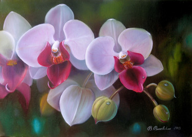 Картина под названием "Orchid with dewdrops" - Valentina Valevskaya, Подлинное произведение искусства, Масло