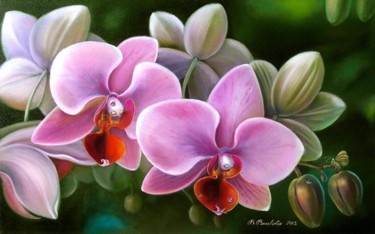 Peinture intitulée "Розовая орхидея" par Valentina Valevskaya, Œuvre d'art originale, Huile