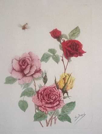 Printmaking titled "ROSES ANCIENNES 3" by Valentine Dupré, Original Artwork, Engraving