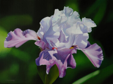 Painting titled "Iris" by Valeri Tsvetkov, Original Artwork, Oil Mounted on Wood Stretcher frame