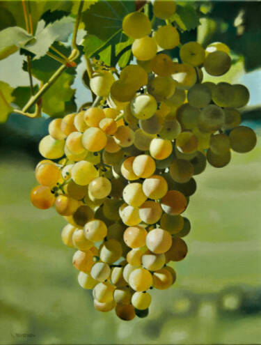 Painting titled "Grapes" by Valeri Tsvetkov, Original Artwork, Oil Mounted on Wood Stretcher frame