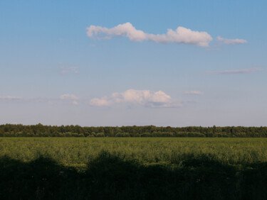 Фотография под названием "Field" - Valeria Nikitina, Подлинное произведение искусства, Цифровая фотография