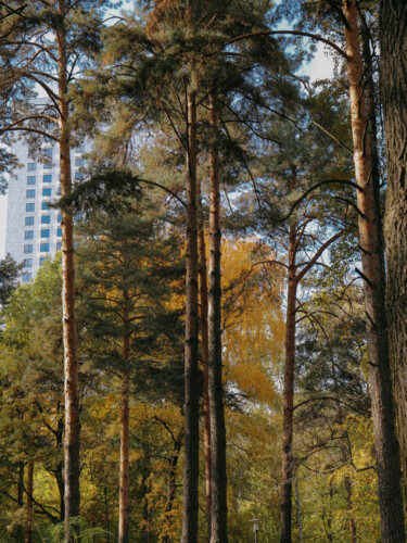 Fotografie mit dem Titel "Парк в городе" von Valeria Nikitina, Original-Kunstwerk, Digitale Fotografie