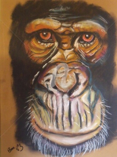 Dibujo titulada "Chimpanzé" por Valérie Barrett, Obra de arte original, Pastel