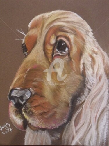 Painting titled "Cocker" by Valérie Barrett, Original Artwork, Pastel