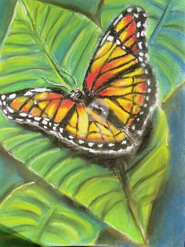 Painting titled "Papillon" by Valérie Barrett, Original Artwork, Pastel