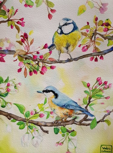 Painting titled "Paridae" by Valérie Catanzaro, Original Artwork, Watercolor