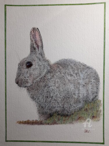 Dessin intitulée "Le lapin de garenne" par Valérie Jouffroy Ricotta, Œuvre d'art originale, Stylo à bille