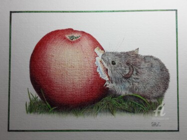 Dibujo titulada "Le mulot et la pomme" por Valérie Jouffroy Ricotta, Obra de arte original, Bolígrafo