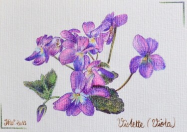 Dessin intitulée "FEVRIER - Violette…" par Valérie Jouffroy Ricotta, Œuvre d'art originale, Stylo à bille