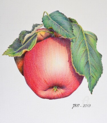Dessin intitulée "Pomme - Stylo bille" par Valérie Jouffroy Ricotta, Œuvre d'art originale, Stylo à bille