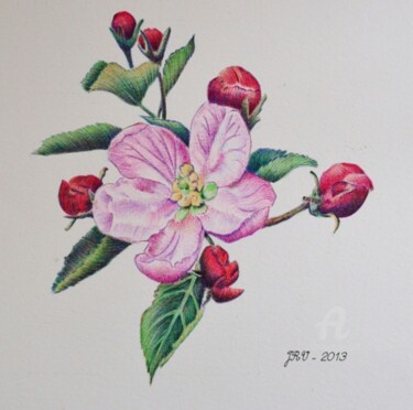 Drawing titled "Fleur de pommier -…" by Valérie Jouffroy Ricotta, Original Artwork, Ballpoint pen