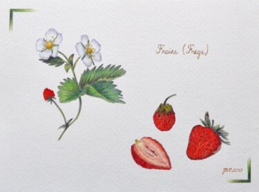 Dibujo titulada "Les fraises -Stylo…" por Valérie Jouffroy Ricotta, Obra de arte original, Bolígrafo