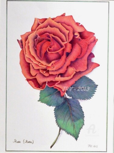 Drawing titled "JUIN -La rose" by Valérie Jouffroy Ricotta, Original Artwork, Ballpoint pen