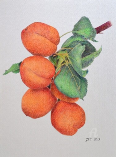 Рисунок под названием "Les abricots - Styl…" - Valérie Jouffroy Ricotta, Подлинное произведение искусства, Шариковая ручка
