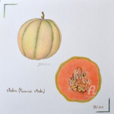 Desenho intitulada "Le melon - Stylo bi…" por Valérie Jouffroy Ricotta, Obras de arte originais, Canetac de aerossol