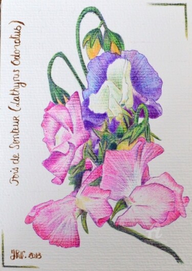 Drawing titled "AVRIL - Le pois de…" by Valérie Jouffroy Ricotta, Original Artwork, Ballpoint pen