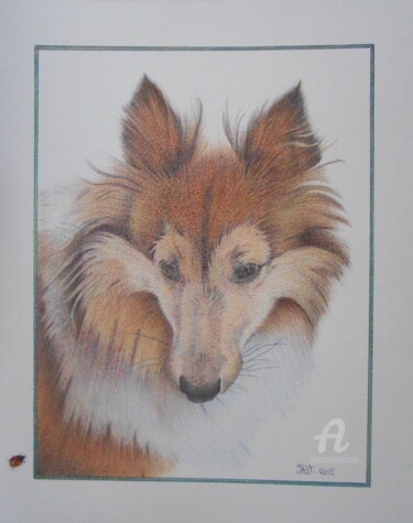 图画 标题为“Lassie berger des s…” 由Valérie Jouffroy Ricotta, 原创艺术品, 圆珠笔