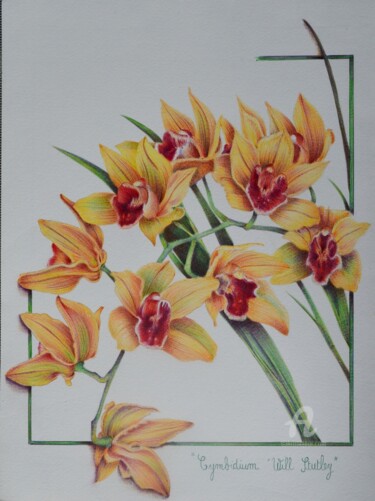 Rysunek zatytułowany „Cymbidium "Will Stu…” autorstwa Valérie Jouffroy Ricotta, Oryginalna praca, Długopis