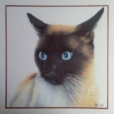 Dessin intitulée "Ik le chat siamois" par Valérie Jouffroy Ricotta, Œuvre d'art originale, Stylo à bille