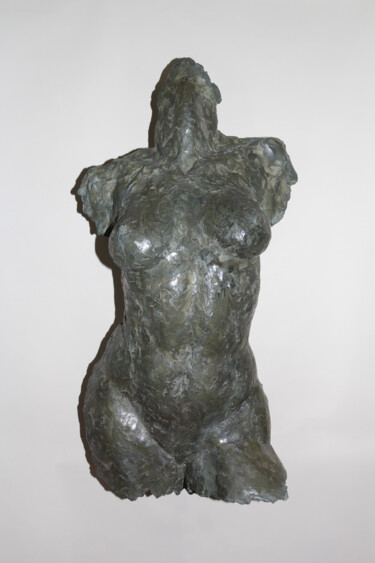 Sculpture intitulée "Son aile" par Valérie Moreau (VALEM), Œuvre d'art originale, Plâtre