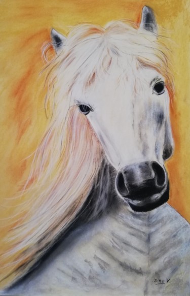 Dessin intitulée "Tête de cheval" par Valérie Sire, Œuvre d'art originale, Pastel