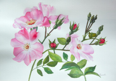 Painting titled "HS16 Roses Roses" by Valérie Frenel, Original Artwork, Watercolor