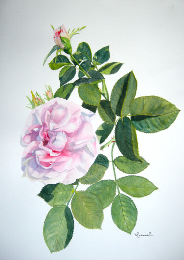 Painting titled "HS21 rose du jardin" by Valérie Frenel, Original Artwork, Watercolor