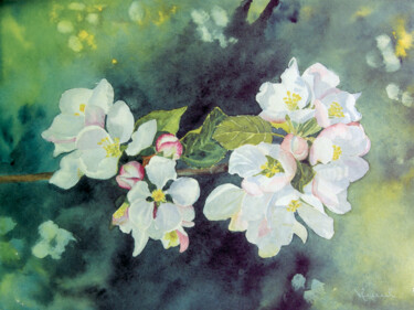 Peinture intitulée "HS22 Fleurs de pomm…" par Valérie Frenel, Œuvre d'art originale, Aquarelle