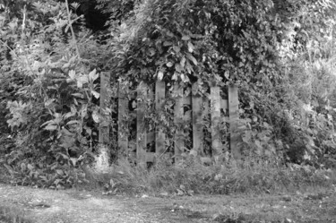 Photographie intitulée "Barrière" par Valérie Rebourg, Œuvre d'art originale