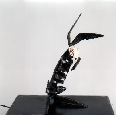 Скульптура под названием "Anatomy study: rabb…" - Valerio Saltarelli Savi, Подлинное произведение искусства, кость