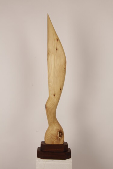 Sculpture titled "Bird in space( afte…" by Valeriu Cazacevschi, Original Artwork, Wood