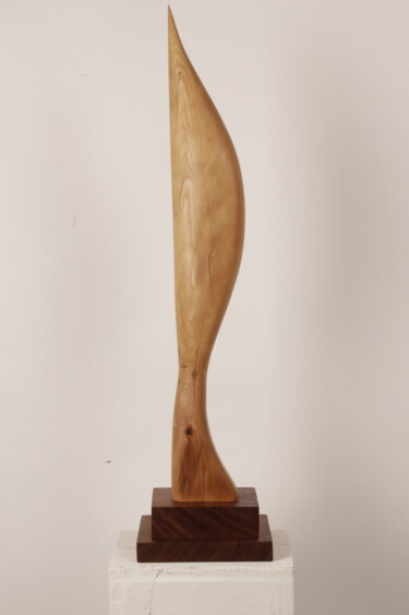 Escultura titulada "Bird in space 2( af…" por Valeriu Cazacevschi, Obra de arte original, Madera