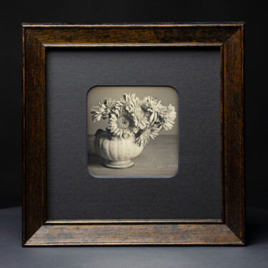 Photography titled "Gerbera - Daguerreo…" by Valerius Geng, Original Artwork, Analog photography Mounted on Cardboard