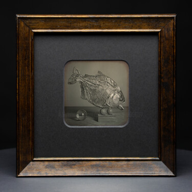 Fotografie mit dem Titel "Piranha - Daguerreo…" von Valerius Geng, Original-Kunstwerk, Analog Fotografie Auf Karton montiert