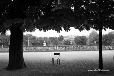 Fotografia intitolato "Jardin du Luxembourg" da Valery Trillaud, Opera d'arte originale, Fotografia digitale