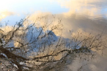 Fotografia intitolato "Reflet de Loire" da Valery Trillaud, Opera d'arte originale, Fotografia non manipolata