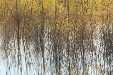 Fotografie getiteld "Rives de Loire 1" door Valery Trillaud, Origineel Kunstwerk, Niet gemanipuleerde fotografie