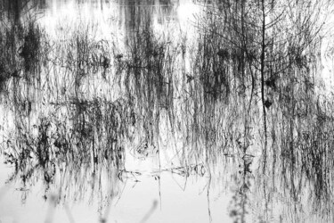Photographie intitulée "Au fil de l'eau 3" par Valery Trillaud, Œuvre d'art originale, Photographie non manipulée
