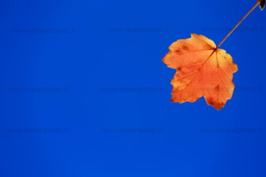 Photography titled "paysage-automne-02.…" by Valery Trillaud, Original Artwork